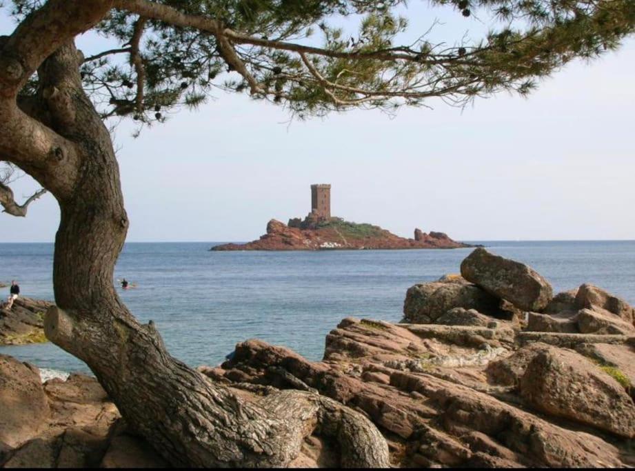 Chaleureux Appartement Face Au Port Sta Lucia, Tout A Pieds, Wifi Saint-Raphael  Bagian luar foto