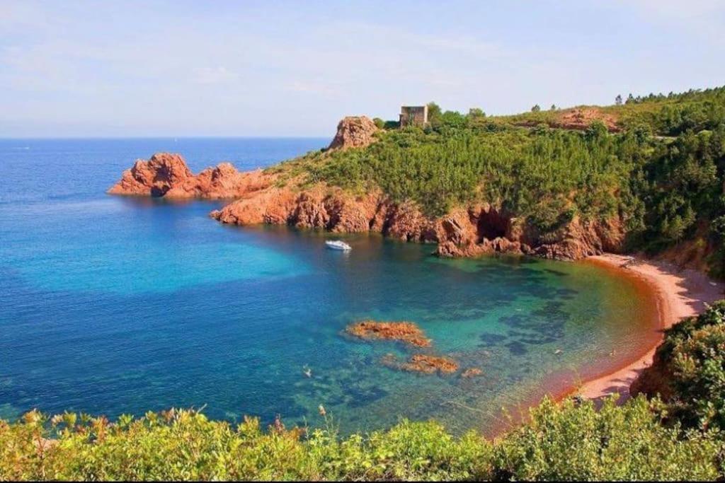 Chaleureux Appartement Face Au Port Sta Lucia, Tout A Pieds, Wifi Saint-Raphael  Bagian luar foto